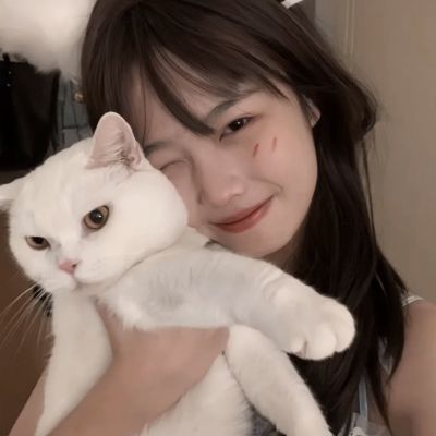 江湖风云录vivo彬哥版下载